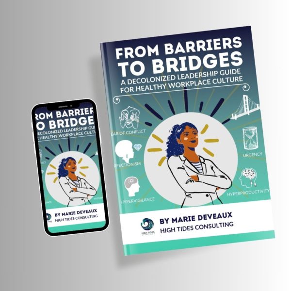 eBook: From Barriers to Bridges