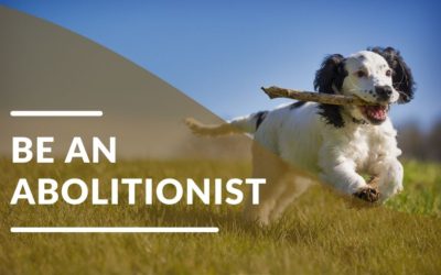 Be an Abolitionist