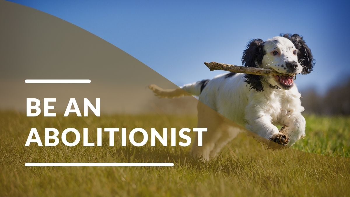 Be an abolitionist Blog post Image for Be an abolitionist Blog post
