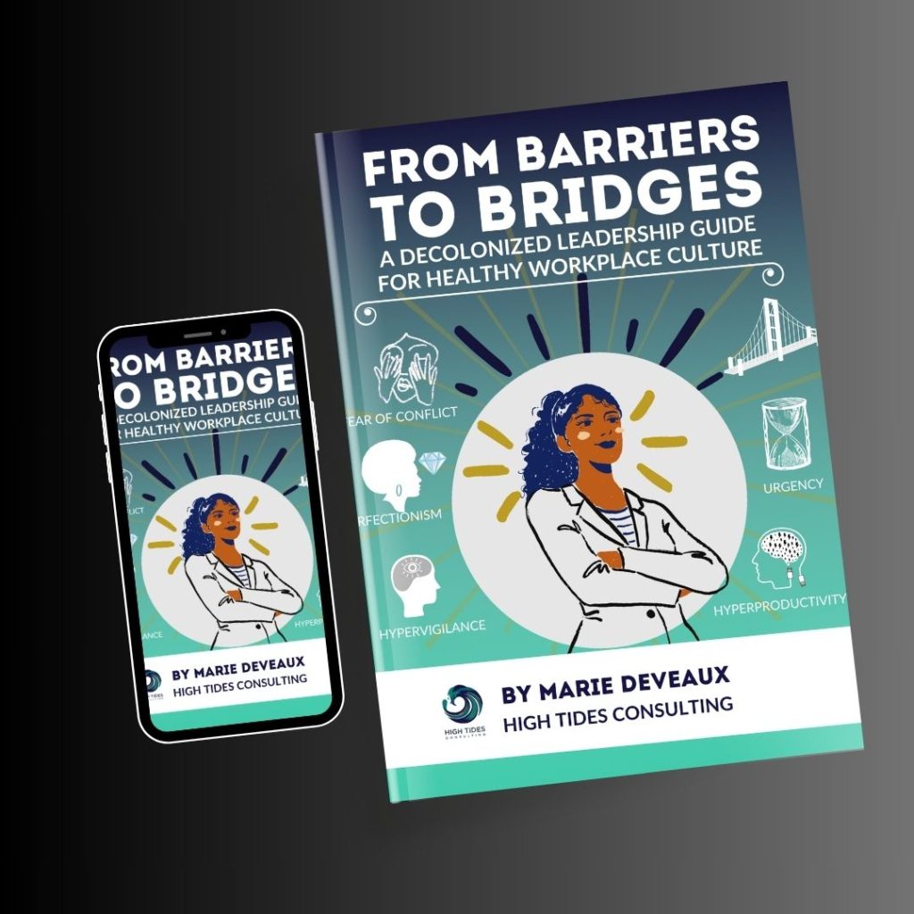 Image of From Barriers to Bridges book cover 3